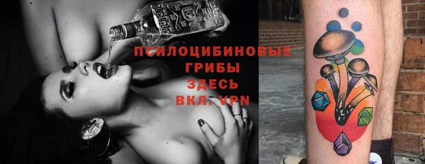 Альфа ПВП Алзамай