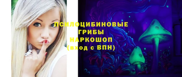 шишки Абинск