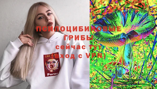 героин Алексин