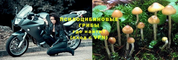 стаф Алексеевка