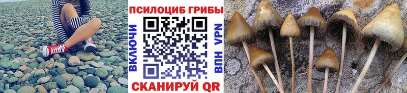 нарко площадка наркотические препараты Канск Псилоцибиновые грибы Cubensis где купить