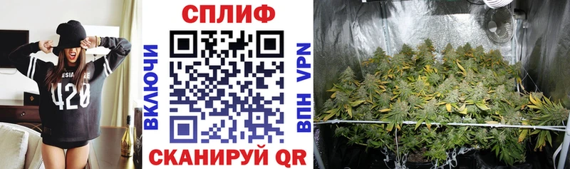 где найти наркотики  Канск  Каннабис семена 